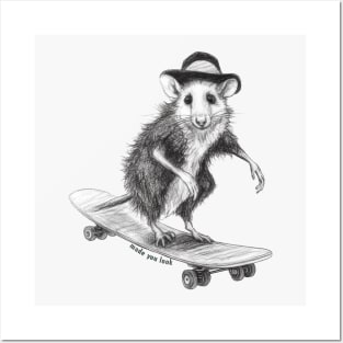 Opossum On A Skateboard: Made You Look Posters and Art